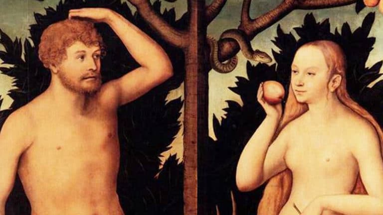 Consideraciones sobre la condición sexual de la persona humana