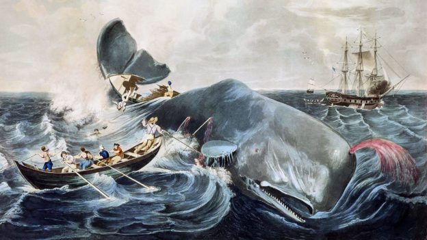 Moby Dick a 200 años del nacimiento de su autor